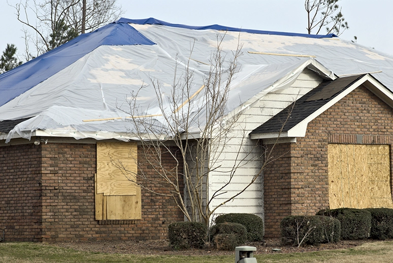 Roof Tarped building